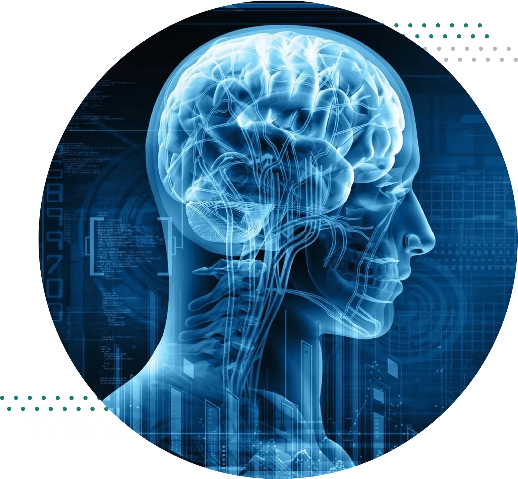 Hero Image Digital illustration of human brain profile.